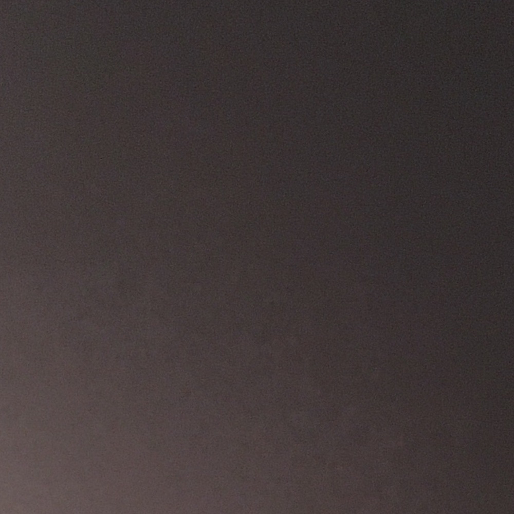 Meet your Posher, Sophie